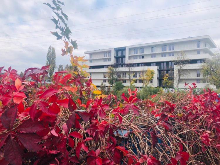 Klemens Apartament *